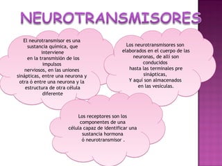 El neurotransmisor es una
     sustancia química, que                     Los neurotransmisores son
            interviene                        elaborados en el cuerpo de las
     en la transmisión de los                      neuronas, de allí son
             impulsos                                  conducidos
    nerviosos, en las uniones                    hasta las terminales pre
sinápticas, entre una neurona y                         sinápticas,
 otra ó entre una neurona y la                   Y aquí son almacenados
    estructura de otra célula                        en las vesículas.
             diferente



                          Los receptores son los
                           componentes de una
                      célula capaz de identificar una
                            sustancia hormona
                            ó neurotransmisor .
 
