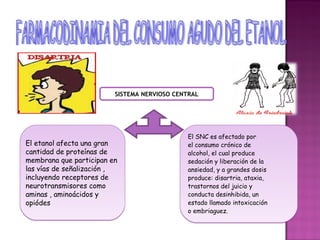 SISTEMA NERVIOSO CENTRAL




                                             El SNC es afectado por
El etanol afecta una gran                    el consumo crónico de
cantidad de proteínas de                     alcohol, el cual produce
membrana que participan en                   sedación y liberación de la
las vías de señalización ,                   ansiedad, y a grandes dosis
incluyendo receptores de                     produce: disartria, ataxia,
neurotransmisores como                       trastornos del juicio y
aminas , aminoácidos y                       conducta desinhibida, un
opiódes                                      estado llamado intoxicación
                                             o embriaguez.
 
