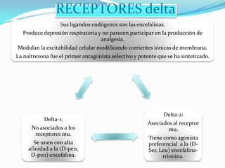 RECEPTORES delta
                  Sus ligandos endógenos son las encefalinas.
  Produce depresión respiratoria y no parecen participar en la producción de
                                  analgesia.
Modulan la excitabilidad celular modificando corrientes iónicas de membrana.
La naltrexona fue el primer antagonista selectivo y potente que se ha sintetizado.




                                                              Delta-2:
           Delta-1:
                                                       Asociados al receptor
      No asociados a los                                       mu.
       receptores mu.
                                                        Tiene como agonista
       Se unen con alta                                 preferencial a la (D-
     afinidad a la (D-pen,                              Ser, Leu) encefalina-
      D-pen) encefalina.                                      trionina.
 