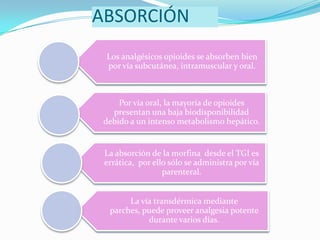 ABSORCIÓN
 Los analgésicos opioides se absorben bien
 por vía subcutánea, intramuscular y oral.



     Por vía oral, la mayoría de opioides
   presentan una baja biodisponibilidad
 debido a un intenso metabolismo hepático.


 La absorción de la morfina desde el TGI es
 errática, por ello sólo se administra por vía
                  parenteral.


       La vía transdérmica mediante
  parches, puede proveer analgesia potente
            durante varios días.
 