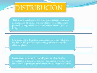 DISTRIBUCIÓN
 Todos los opioides se unen a las proteínas plasmáticas
con afinidad diversa, pero se distribuyen rápidamente
por todo el organismo con un volumen entre; 1,5 y 4,7
L/Kg.



Los fármacos se localizan en concentraciones máximas en
tejidos de alta perfusión; cerebro, pulmones, hígado,
riñones y bazo.




Las concentraciones farmacológicas en el músculo
esquelético pueden ser mucho menores, pero este tejido
sirve como el principal reservorio, por su mayor volumen.
 