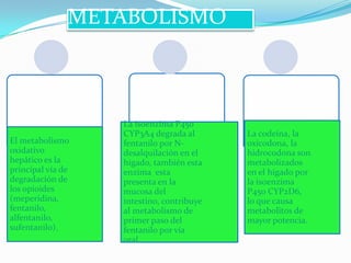METABOLISMO



                   La isoenzima P450
                   CYP3A4 degrada al       La codeína, la
El metabolismo     fentanilo por N-        oxicodona, la
oxidativo          desalquilación en el    hidrocodona son
hepático es la     higado, también esta    metabolizados
principal vía de   enzima esta             en el higado por
degradación de     presenta en la          la isoenzima
los opioides       mucosa del              P450 CYP2D6,
(meperidina,       intestino, contribuye   lo que causa
fentanilo,         al metabolismo de       metabolitos de
alfentanilo,       primer paso del         mayor potencia.
sufentanilo).      fentanilo por vía
                   oral.
 