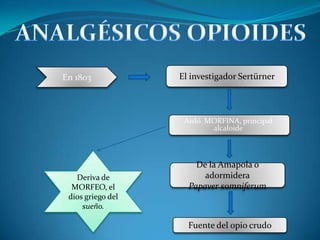 En 1803            El investigador Sertürner



                    Aisló MORFINA, principal
                           alcaloide



                       De la Amapola o
   Deriva de             adormidera
  MORFEO, el         Papaver somniferum
 dios griego del
     sueño.

                     Fuente del opio crudo
 