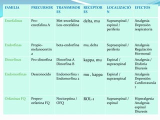 FAMILIA        PRECURSOR       TRANSMISOR RECEPTOR           LOCALIZACIÓ      EFECTOS
                               ES         ES                 N

Encefalinas    Pro-            Met-encefalina   delta, mu    Supraespinal /   Analgesia
               encefalina A    Leu-encefalina                espinal /        Depresión
                                                             periferia        respiratoria



Endorfinas     Propio-         beta-endorfina   mu, delta    Supraespinal /   Analgesia
               melanocortin                                  periferia        Regulación
               a                                                              Hormonal
Dinorfinas     Pro-dinorfina   Dinorfina A      kappa, mu    Espinal /        Analgesia /
                               Dinorfina B                   supraespinal     Disforia
                                                                              Diuresis
Endomorfinas   Desconocido     Endomorfina 1    mu , kappa   Espinal /        Analgesia
                               Endomorfina 2                 supraespinal     Depresión
                                                                              Cardiovascula
                                                                              r


Orfaninas FQ   Prepro-         Nociceptina /    ROL-1        Supraespinal /   Hiperalgesia
               orfanina FQ     OFQ                           espinal          Analgesia
                                                                              espinal
                                                                              Diuresis
 
