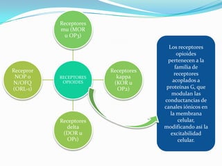 Receptores
           mu (MOR
            u OP3)

                                       Los receptores
                                           opioides
                                      pertenecen a la
                                          familia de
Recepror                Receptores
                                          receptores
 NOP o     RECEPTORES     kappa
N/OFQ       OPIOIDES     (KOR u          acoplados a
(ORL-1)                   OP2)        proteínas G, que
                                        modulan las
                                     conductancias de
                                     canales iónicos en
                                       la membrana
           Receptores                       celular,
             delta                   modificando así la
            (DOR u                      excitabilidad
             OP1)                           celular.
 