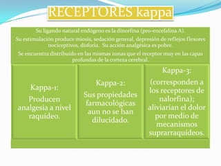 RECEPTORES kappa
        Su ligando natural endógeno es la dinorfina (pro-encefalina A).
Su estimulación produce miosis, sedación general, depresión de reflejos flexores
             nociceptivos, disforia. Su acción analgésica es pobre.
 Se encuentra distribuido en las mismas zonas que el receptor muy en las capas
                        profundas de la corteza cerebral.

                                                             Kappa-3:
                                 Kappa-2:               (corresponden a
      Kappa-1:                                         los receptores de
                            Sus propiedades
   Producen                                                nalorfina);
                             farmacológicas
analgesia a nivel                                      aliviarían el dolor
                              aun no se han
   raquídeo.                                              por medio de
                               dilucidado.
                                                          mecanismos
                                                       suprarraquídeos.
 