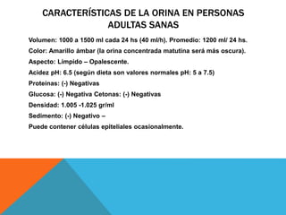 CARACTERÍSTICAS DE LA ORINA EN PERSONAS
ADULTAS SANAS
Volumen: 1000 a 1500 ml cada 24 hs (40 ml/h). Promedio: 1200 ml/ 24 hs.
Color: Amarillo ámbar (la orina concentrada matutina será más oscura).
Aspecto: Límpido – Opalescente.
Acidez pH: 6.5 (según dieta son valores normales pH: 5 a 7.5)
Proteínas: (-) Negativas
Glucosa: (-) Negativa Cetonas: (-) Negativas
Densidad: 1.005 -1.025 gr/ml
Sedimento: (-) Negativo –
Puede contener células epiteliales ocasionalmente.
 