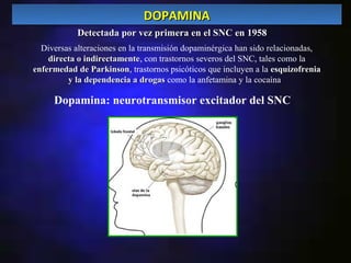 DOPAMINA
            Detectada por vez primera en el SNC en 1958
  Diversas alteraciones en la transmisión dopaminérgica han sido relacionadas,
    directa o indirectamente, con trastornos severos del SNC, tales como la
              indirectamente
enfermedad de Parkinson, trastornos psicóticos que incluyen a la esquizofrenia
                 Parkinson
         y la dependencia a drogas como la anfetamina y la cocaína.

     Dopamina: neurotransmisor excitador del SNC
 