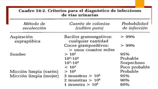 Clase n2.infeccion urinaria y reflujo