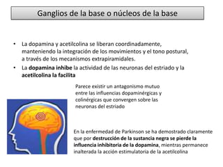 Ganglios de la base o núcleos de la base


• La dopamina y acetilcolina se liberan coordinadamente,
  manteniendo la integración de los movimientos y el tono postural,
  a través de los mecanismos extrapiramidales.
• La dopamina inhibe la actividad de las neuronas del estriado y la
  acetilcolina la facilita
                       Parece existir un antagonismo mutuo
                       entre las influencias dopaminérgicas y
                       colinérgicas que convergen sobre las
                       neuronas del estriado



                       En la enfermedad de Parkinson se ha demostrado claramente
                       que por destrucción de la sustancia negra se pierde la
                       influencia inhibitoria de la dopamina, mientras permanece
                       inalterada la acción estimulatoria de la acetilcolina
 