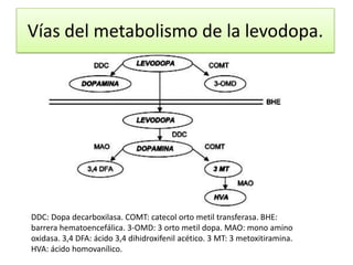 Vías del metabolismo de la levodopa.




DDC: Dopa decarboxilasa. COMT: catecol orto metil transferasa. BHE:
barrera hematoencefálica. 3-OMD: 3 orto metil dopa. MAO: mono amino
oxidasa. 3,4 DFA: ácido 3,4 dihidroxifenil acético. 3 MT: 3 metoxitiramina.
HVA: ácido homovanílico.
 
