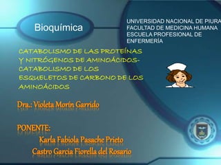 1
Bioquímica
CATABOLISMO DE LAS PROTEÍNAS
Y NITRÓGENOS DE AMINOÁCIDOS-
CATABOLISMO DE LOS
ESQUELETOS DE CARBONO DE LOS
AMINOÁCIDOS
UNIVERSIDAD NACIONAL DE PIURA
FACULTAD DE MEDICINA HUMANA
ESCUELA PROFESIONAL DE
ENFERMERÍA
 