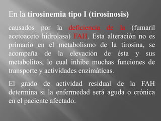 En la tirosinemia tipo I (tirosinosis)
causados por la deficiencia de la (fumaril
acetoaceto hidrolasa) FAH. Esta alteración no es
primario en el metabolismo de la tirosina, se
acompaña de la elevación de ésta y sus
metabolitos, lo cual inhibe muchas funciones de
transporte y actividades enzimáticas.
El grado de actividad residual de la FAH
determina si la enfermedad será aguda o crónica
en el paciente afectado.
 