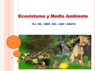 Ecosistema y Medio Ambiente
Por: ING. TIBER JOEL CANO CAMAYO
 