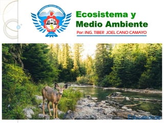 Ecosistema y
Medio Ambiente
Por: ING. TIBER JOEL CANO CAMAYO
 