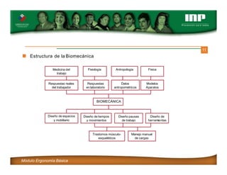 11
Estructura de la Biomecánica
Medicina del
trabajo
Fisiología Antropología Física
Respuestas reales
del trabajador
Respuestas
en laboratorio
Datos
antropométricos
Modelos
Aparatos
BIOMECÁNICA
Diseño de espacios
y mobiliario
Diseño de tiempos
y movimientos
Diseño pausas
de trabajo
Diseño de
herramientas
Trastornos músculo-
esqueléticos
Manejo manual
de cargas
Módulo Ergonomía Básica
 