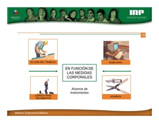 13
EN FUNCIÓN DE
LAS MEDIDAS
CORPORALES
Alcance de
Instrumentos
ALTURA DEL TRABAJO MOBILIARIO
AGARRES
ESPACIO PARA
MOVIMIENTOS
Módulo Ergonomía Básica
 