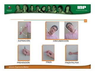 42
SUPINACIÓN CIRCUNDICCIÓN
PREHENSIÓN
Módulo Ergonomía Básica
PINZA PINZAPALPAR
 