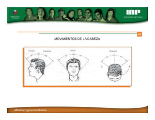 46
MOVIMIENTOS DE LA CABEZA
Módulo Ergonomía Básica
 