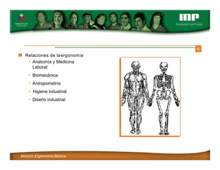 6
Relaciones de laergonomía
• Anatomía y Medicina
Laboral
• Biomecánica
• Antropometría
• Higiene industrial
• Diseño industrial
Módulo Ergonomía Básica
 