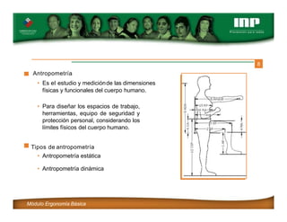 8
Antropometría
• Es el estudio y mediciónde las dimensiones
físicas y funcionales del cuerpo humano.
• Para diseñar los espacios de trabajo,
herramientas, equipo de seguridad y
protección personal, considerando los
límites físicos del cuerpo humano.
Tipos de antropometría
• Antropometría estática
• Antropometría dinámica
Módulo Ergonomía Básica
 