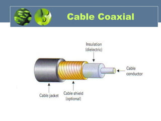 Cable Coaxial
 