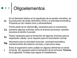 Oligoelementos
Cl
Es el elemento básico en la regulación de la presión osmótica, en
la producción de ácido clorhídrico (HCl) y la actividad enzimática.
Presente en los medios intra y extracelulares.
Co
Forma parte de la vitamina B12 necesaria para el crecimiento,
previene algunas anemias como la anemia perniciosa, también
previene la atrofia muscular.
Zn
Factor necesario para la formación de algunas enzimas para la
respiración celular, se le requiere para el crecimiento normal.
Mg
Necesario para la actividad muscular, actividad enzimática,
mantenimiento del sistema nervioso y estructura ósea.
I
Entra al organismo como yodato en algunos alimentos en dosis
mínimas. Es necesario para la formación de la hormona Tiroxina
de la glándula Tiroides que regula el metabolismo.
 