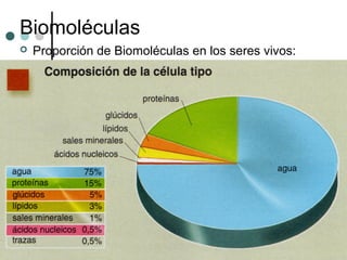 Biomoléculas
 Proporción de Biomoléculas en los seres vivos:
 