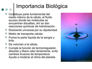 Importancia Biológica
 Constituye parte fundamental del
medio interno de la célula, el fluido
acuoso donde las moléculas se
encuentran disueltas, ahí se dan
reacciones químicas de hidrolización.
 Disolvente universal por su dipolaridad.
 Medio de transporte celular.
 Forma la parte líquida de la sangre y
linfa.
 Da volumen a la célula.
 Cumple la función de termorregulador,
absorbe y libera calor lentamente, evita
cambios bruscos de temperatura.
Ayuda a moderar el clima del planeta.
 