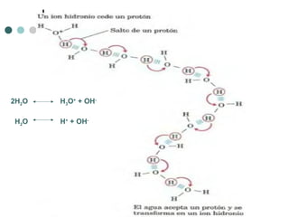 2H2O H3O+
+ OH-
H2O H+
+ OH-
 