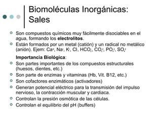Biomoléculas Inorgánicas:
Sales
 Son compuestos químicos muy fácilmente disociables en el
agua, formando los electrolitos.
 Están formados por un metal (catión) y un radical no metálico
(anión). Ejem: Ca+2
, Na+
, K+
, Cl-
, HCO3
-
, CO3
-2
, PO4
-2
, SO4
-2
Importancia Biológica:
 Son partes importantes de los compuestos estructurales
(huesos, dientes, etc.)
 Son parte de enzimas y vitaminas (Hb, Vit. B12, etc.)
 Son cofactores enzimáticos (activadores)
 Generan potencial eléctrico para la transmisión del impulso
nervioso, la contracción muscular y cardiaca.
 Controlan la presión osmótica de las células.
 Controlan el equilibrio del pH (buffers)
 