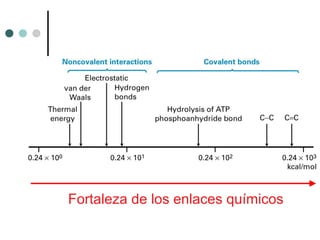 Fortaleza de los enlaces químicos
 