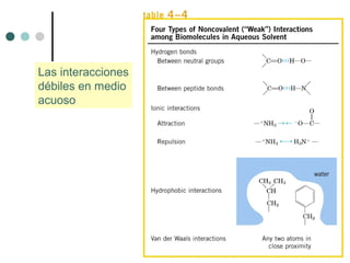 Las interacciones
débiles en medio
acuoso
 