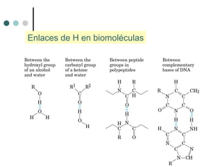 Enlaces de H en biomoléculas
 