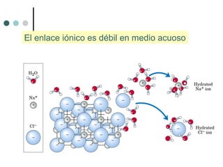 El enlace iónico es débil en medio acuoso
 