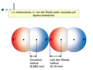 Las interacciones de Van der Waals están causadas por
dipolos transitorios
 