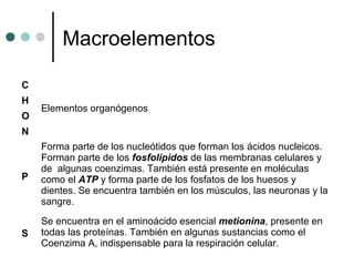 Macroelementos
C
Elementos organógenos
H
O
N
P
Forma parte de los nucleótidos que forman los ácidos nucleicos.
Forman parte de los fosfolípidos de las membranas celulares y
de algunas coenzimas. También está presente en moléculas
como el ATP y forma parte de los fosfatos de los huesos y
dientes. Se encuentra también en los músculos, las neuronas y la
sangre.
S
Se encuentra en el aminoácido esencial metionina, presente en
todas las proteínas. También en algunas sustancias como el
Coenzima A, indispensable para la respiración celular.
 