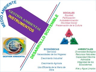 GESTIÓN AMBIENTAL
 