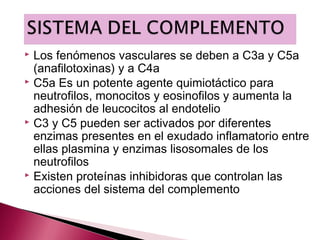  Los fenómenos vasculares se deben a C3a y C5a
  (anafilotoxinas) y a C4a
 C5a Es un potente agente quimiotáctico para
  neutrofilos, monocitos y eosinofilos y aumenta la
  adhesión de leucocitos al endotelio
 C3 y C5 pueden ser activados por diferentes
  enzimas presentes en el exudado inflamatorio entre
  ellas plasmina y enzimas lisosomales de los
  neutrofilos
 Existen proteínas inhibidoras que controlan las
  acciones del sistema del complemento
 