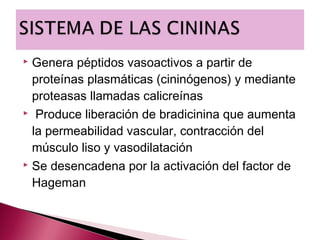  Genera péptidos vasoactivos a partir de
  proteínas plasmáticas (cininógenos) y mediante
  proteasas llamadas calicreínas
 Produce liberación de bradicinina que aumenta

  la permeabilidad vascular, contracción del
  músculo liso y vasodilatación
 Se desencadena por la activación del factor de

  Hageman
 