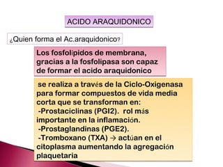 ACIDO ARAQUIDONICO

¿Quien   forma el Ac.araquidonico?
         Los fosfolípidos de membrana,
         gracias a la fosfolipasa son capaz
         de formar el acido araquidonico
          se realiza a través de la Ciclo-Oxigenasa
         para formar compuestos de vida media
         corta que se transforman en:
          -Prostaciclinas (PGI2). rol más
         importante en la inflamación.
          -Prostaglandinas (PGE2).
          -Tromboxano (TXA) → actúan en el
         citoplasma aumentando la agregación
         plaquetaria
 