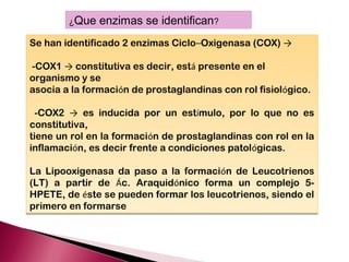 ¿Que   enzimas se identifican?
Se han identificado 2 enzimas Ciclo–Oxigenasa (COX) →

-COX1 → constitutiva es decir, está presente en el
organismo y se
asocia a la formación de prostaglandinas con rol fisiológico.

  -COX2 → es inducida por un estímulo, por lo que no es
constitutiva,
tiene un rol en la formación de prostaglandinas con rol en la
inflamación, es decir frente a condiciones patológicas.

La Lipooxigenasa da paso a la formación de Leucotrienos
(LT) a partir de Ác. Araquidónico forma un complejo 5-
HPETE, de éste se pueden formar los leucotrienos, siendo el
primero en formarse
 