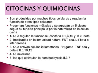    Son producidas por muchos tipos celulares y regulan la
    función de otros tipos celulares
   Presentan funciones múltiples y se agrupan en 5 clases,
    según su función principal o por la naturaleza de la célula
    diana
   1- Que regulan la función leucocitaria IL2,4,10 y TGF beta
   2- Implicadas en la inmunidad natural FNT alfa,IL1 beta e
    interferones
   3- Que activan células inflamatorias IFN gama TNF alfa y
    beta e IL5,10,12
   4- Quimiocinas
   5- las que estimulan la hematopoyesis IL3,7
 