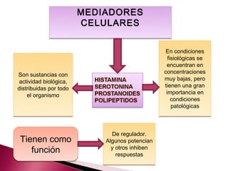 MEDIADORES
                        CELULARES


                                                 En condiciones
                                                  fisiológicas se
                                                 encuentran en
Son sustancias con                              concentraciones
                                                muy bajas, pero
 actividad biológica,
distribuidas por todo                           tienen una gran
                                                 importancia en
    el organismo
                                                    condiciones
                                                    patológicas



                              De regulador.
 Tienen como                Algunos potencian
    función                   y otros inhiben
                                respuestas
 