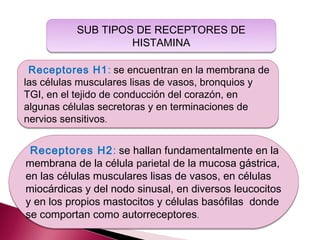 SUB TIPOS DE RECEPTORES DE
                   HISTAMINA

 Receptores H1: se encuentran en la membrana de
las células musculares lisas de vasos, bronquios y
TGI, en el tejido de conducción del corazón, en
algunas células secretoras y en terminaciones de
nervios sensitivos.


 Receptores H2: se hallan fundamentalmente en la
membrana de la célula parietal de la mucosa gástrica,
en las células musculares lisas de vasos, en células
miocárdicas y del nodo sinusal, en diversos leucocitos
y en los propios mastocitos y células basófilas donde
se comportan como autorreceptores.
 