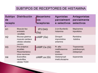 SUBTIPOS DE RECEPTORES DE HISTAMINA

Subtipo Distribución       Mecanismo      Agonistas           Antagonistas
de                         pos            parcialment         parcialmente
recepto                    receptores     e selectivos        selectivos
r
H1      Musculo liso         IP3 DAG      2-(m-flurofenil)-   Mepiramina
        endotelio                         histamina           triprolidina
                           (Gq)
         encéfalo
H2      Mucosa gástrica    cAMP (Gs)      Dimaprit            Ranitidina
        musculo cardiaco                  impromidina         tiotidina
        células cebadas                   antamina
        cerebro
H3      Pre sináptica:     cAMP,Ca (Gi)   R- alfa-            Tioperamida
        encéfalo                          metilhistamina      yodofenpropit,
        Plexomienterico                   imetit,             clobepropit
        otras neuronas                    immipep
H4      Eosinofilos        cAMP,ca (Gi)   Clobenpropit        tioperamida
        neutrofilos                       imetit,clozapina
        células TCD4
 
