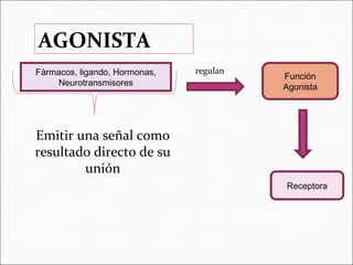 AGONISTA
Fármacos, ligando, Hormonas,   regulan
                                         Función
     Neurotransmisores                   Agonista




Emitir una señal como
resultado directo de su
        unión
                                         Receptora
 