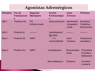 Agonistas Adrenérgicos
Receptor Vía de          Segundo              Acción             Usos            Fármaco
         Transducció     Mensajero            Farmacológic       Clínicos
         n                                    o
Alfa 1    Proteína Gq    IP3                  vasoconstricción   Hipotensión     Epinefrina
                         (trifosfo-Inosito                       Congestión      Fenilefrina
                                                                 ocular          Metoxamina

Alfa 2   Proteína Gi     ----------           Vasodilatación     ---------       ----------
                                              (Escasa)
Beta 1   Proteína Gs     AMPc                    F.C             Insuf.          Dobutamina
                                              contractibilidad   Cardiaca        prenalterol



Beta 2    Proteína Gs    AMPc                Vasodilatación      Broquiectasia    Terbutalina
                                                                 Asma             Procaterol
                                                                                  Salbutamol

                                             Broncodilatacion    Enfisema         Fenoterol
                                                                                  Limeterol
 