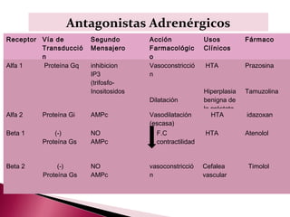 Antagonistas Adrenérgicos
Receptor Vía de         Segundo        Acción             Usos          Fármaco
         Transducció    Mensajero      Farmacológic       Clínicos
         n                             o
Alfa 1    Proteína Gq   inhibicion     Vasoconstricció    HTA           Prazosina
                        IP3            n
                        (trifosfo-
                        Inositosidos                      Hiperplasia   Tamuzolina
                                       Dilatación         benigna de
                                                          la próstata
Alfa 2   Proteína Gi    AMPc           Vasodilatación        HTA        idazoxan
                                       (escasa)
Beta 1       (-)        NO               F.C              HTA           Atenolol
         Proteína Gs    AMPc             contractilidad


Beta 2         (-)      NO             vasoconstricció    Cefalea        Timolol
          Proteína Gs   AMPc           n                  vascular
 