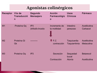 Agonistas colinérgicos
Receptor Vía de         Segundo             Acción       Usos               Fármaco
         Transducció    Mensajero           Farmacológic Clínicos
         n                                  o


M1       Proteína Gq    IP3                 Incremento de   Intestino       Acetilcolina
                        (trifosfo-Inosito   la motilidad    perezoso        Carbacol




M2       Proteína Gi    ----------            F.C           Taquicardia     Acetilcolina
         Gk                                   contracción   Taquiarritmia   Metacolina



M3       Proteína Gq    IP3                   Secreción     Sequedad        Betarecol
                                                            bucal
                                            Contracción     Atonía          Acetilcolina
 